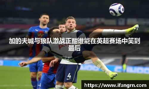 加的夫城与狼队激战正酣谁能在英超赛场中笑到最后