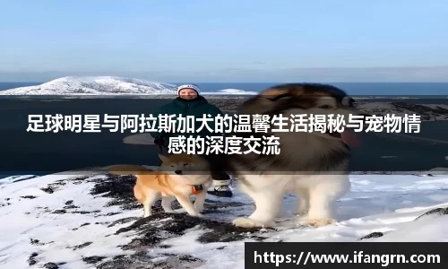 足球明星与阿拉斯加犬的温馨生活揭秘与宠物情感的深度交流